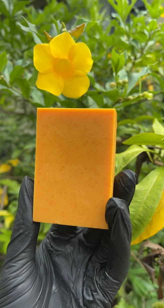 Turmeric Sea Moss Soap